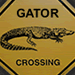 HostGator Theme HostGator Icon