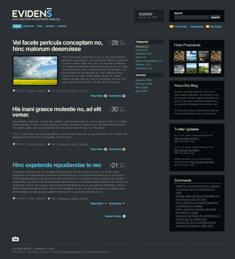 Evidens WordPress Theme