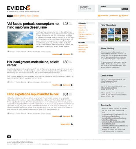 Evidens WordPress Theme